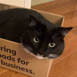 Meet your Posher, Andee